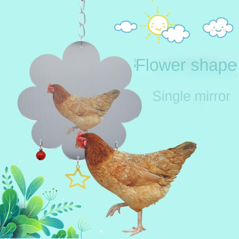 

Parrot Toy Single Sided Mirror With Stars Bird Mirror Chicken Toys Bird Toys Chicken Mirror