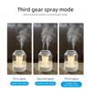 2.5L Large Capacity Ultrasonic Cool Mist Humidifier Dual Spray USB Powered with Night Light