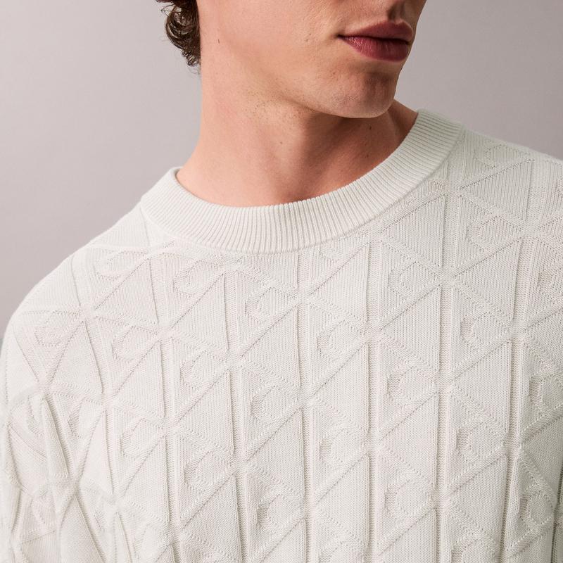 Calvin Klein Jacquard Texture Casual Cotton Crew Neck Sweater Men Sweater 4RE301G