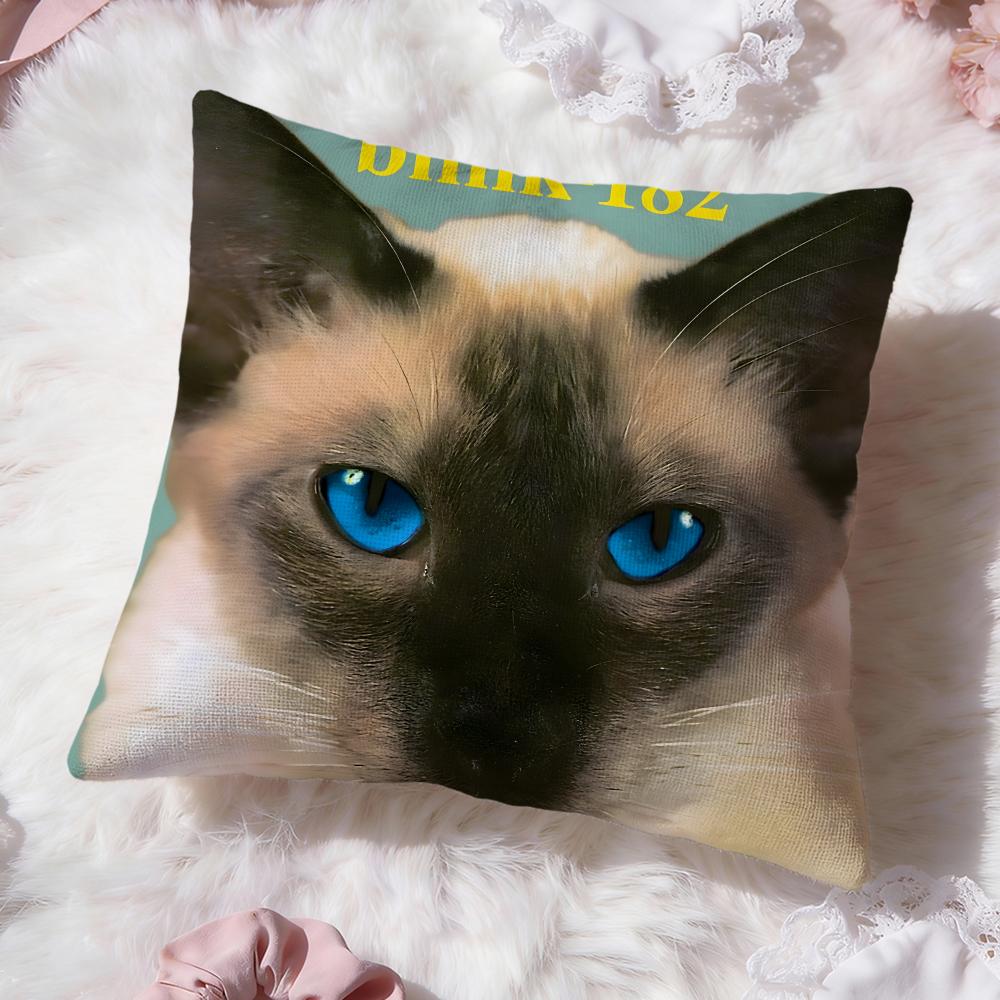 b-Blink-182 band Cushion Cover Premium Comfort Reversible Pillow Cove -Two in One Design for Any Room & Car Interior