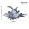 1Pcs Hair Claw Elegant Shark Clip Creative Conch Hairpin Colorful Gift For Summer Beach Headwear Hair Accessories