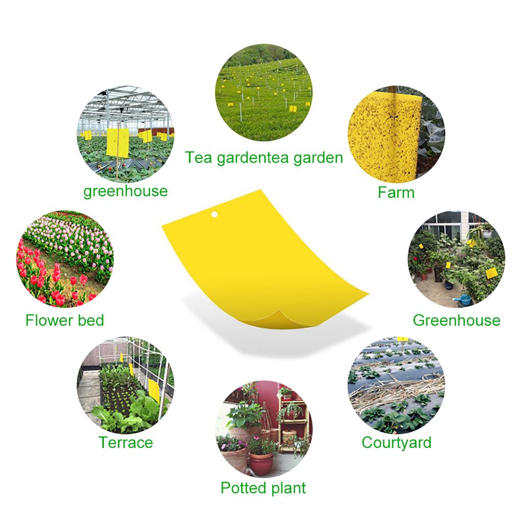 20-200Pcs Fly Sticker Double Sided Flying Insect Catcher Fly Trap For Greenhouse Home Garden Bug Mosquito Trap Glue Sticky Board