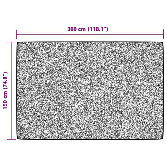 VidaXL Tapis Intérieur Extérieur à Poils Courts Antidérapant, Moquette de Sol, Carpette de Chambre à Coucher Salon Terrasse 4007214