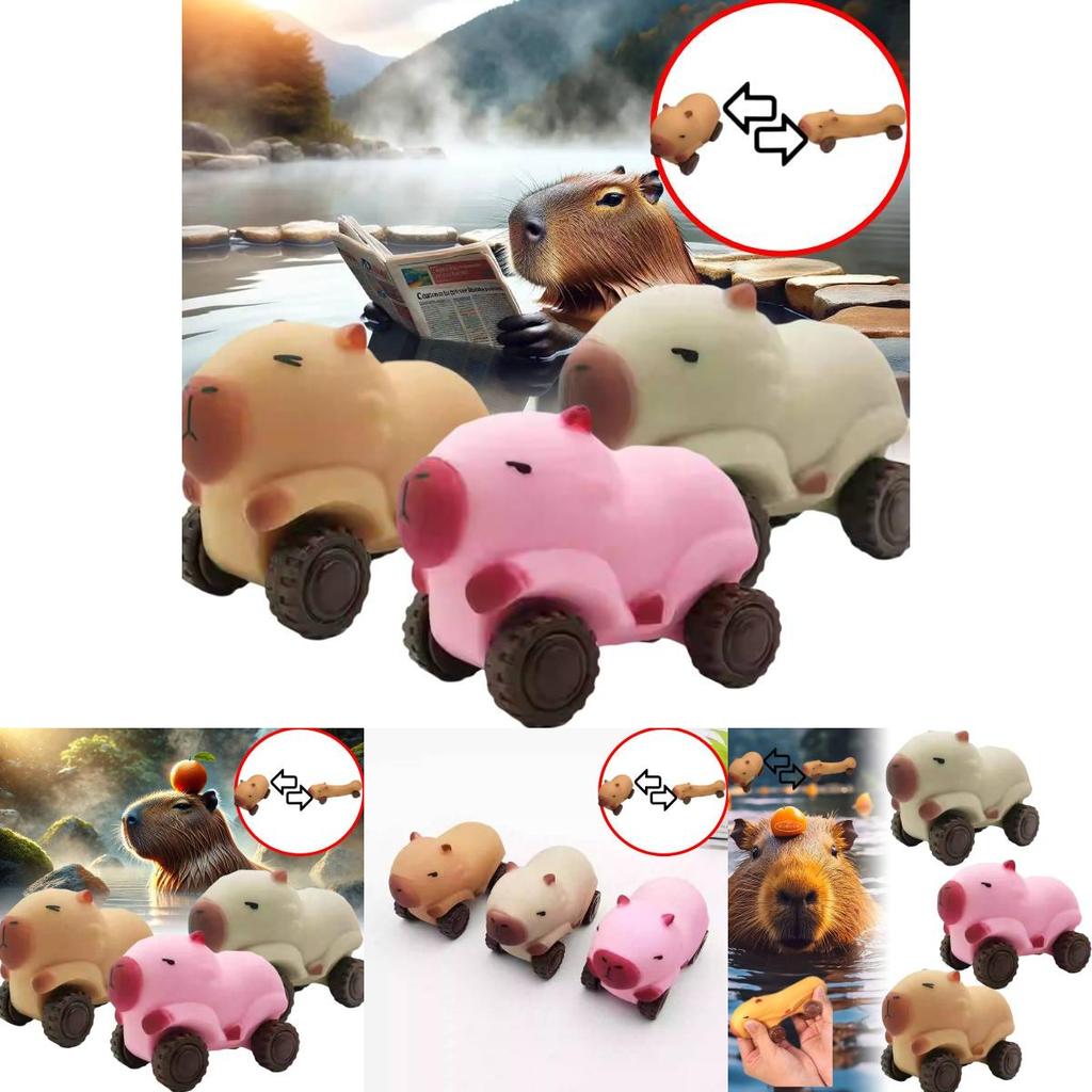 Creative New Capybara Stress Relief Toy Unique Stretchy Rolling Slider Fun Pack