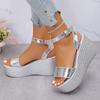 Ankle Strap Chunky Platform Sandals for Women 2025 Summer Thick Bottom Wedge Sandals Woman Fashion Silver High Heel Sandalias