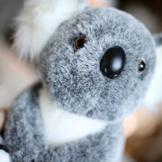 Cute Plush Toy Body Realistic Super Squishy and Cute Perfect for or As a Gift Pillow, Koala, Round, Soft, Comfortable, Multifunctional, Fluffy, Fun,