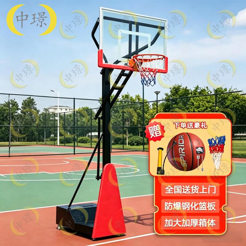 Zhongjing Adjustable Mobile Basketball Hoop