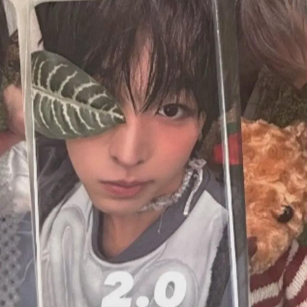 

Ncitywish Riku Color Ketapo Лотерея Фотокарточка