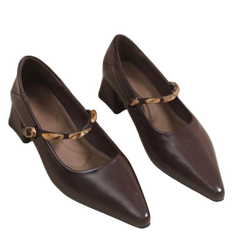 Pointed Single Shoes Medium Heel Thick Heel Women's Shoes 2025 New Autumn French Retro Fashion Versatile Mary Jane Small Leather Shoes