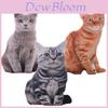 Adorável Almofada de Gato de Simulação 3D de 50cm Brinquedo de Pelúcia Almofada Para Decoração Aconchegante de Casa