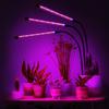 Led Plant Growth Lamp 60 Diodes Timer 24 W Home Plant Cultivation With Mains Adapter