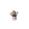 Ornaments Artificial Potted Flowers Mini Simulation Plants Gifts Potted Plants  Office