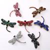 Broches en lichaamssieraden