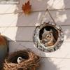 2D Plane Hanging Decorative Signs, Interior Wall or Door Decoration, Garden Decoration, Squirrel Pattern, Interesting Gifts for Family and Friends