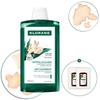 [Seborrheic Scalp & Itch Care] Galangal Ginger Dandruff Shampoo 400ml