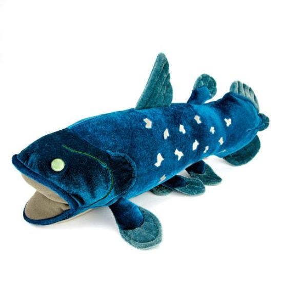 Calorata Coelacanth Plush Toy Fish Soft and Realistic Plush Fish Toy Doll Mascot Birthday Gift Present Christmas Present (Medium/Ancient Series)