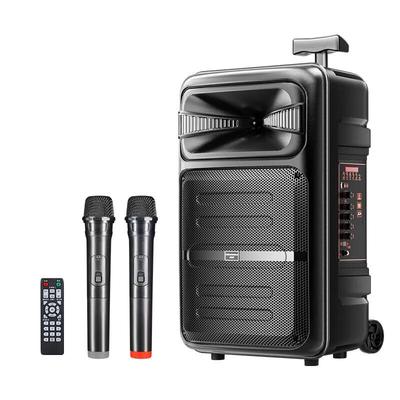 Audio și Video – Playere karaoke