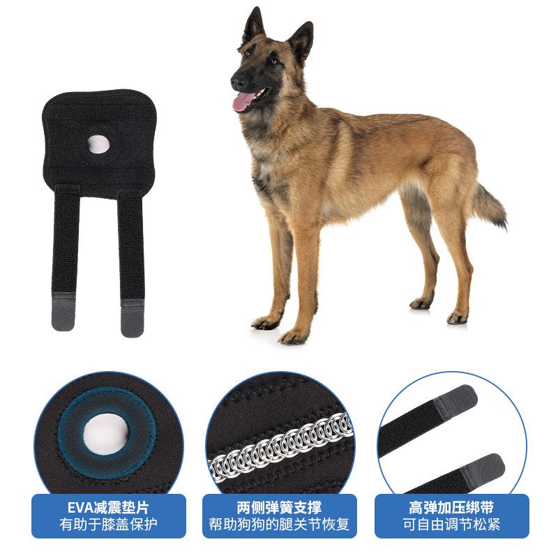 Dog Leg Protection Knee Protection Patella Protection Auxiliary Rehabilitation Dog Cat Ligament Joint Protection