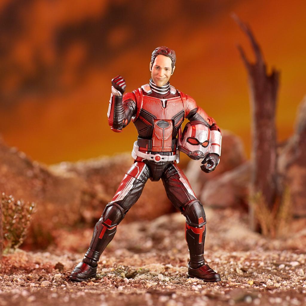 Avengers Series Marvel Legends Action and the 5.0 6-inch Figure/Ant-Man (Ant-Man Wasp)
