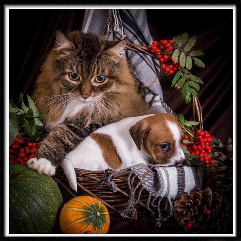 Pictura cu diamante 5D Diy Broderie cu punct de cruce Kit complet Pictură cu diamante pisica Decorare perete de acasă Cadouri de sărbători lucrate manual