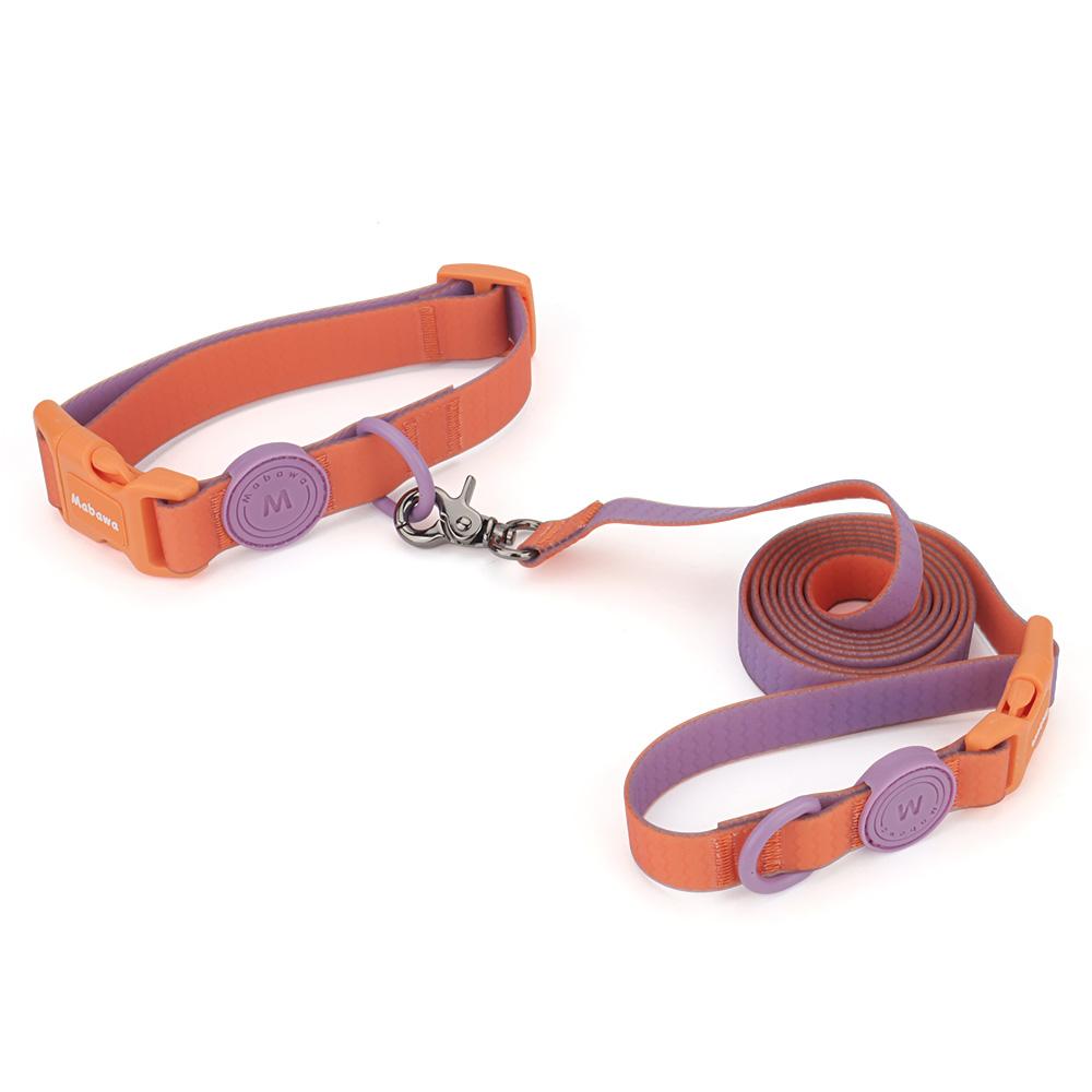 Set Collar Leashes Dog Cat Pet Collars For Puppy Small Medium Dogs Leash Rope