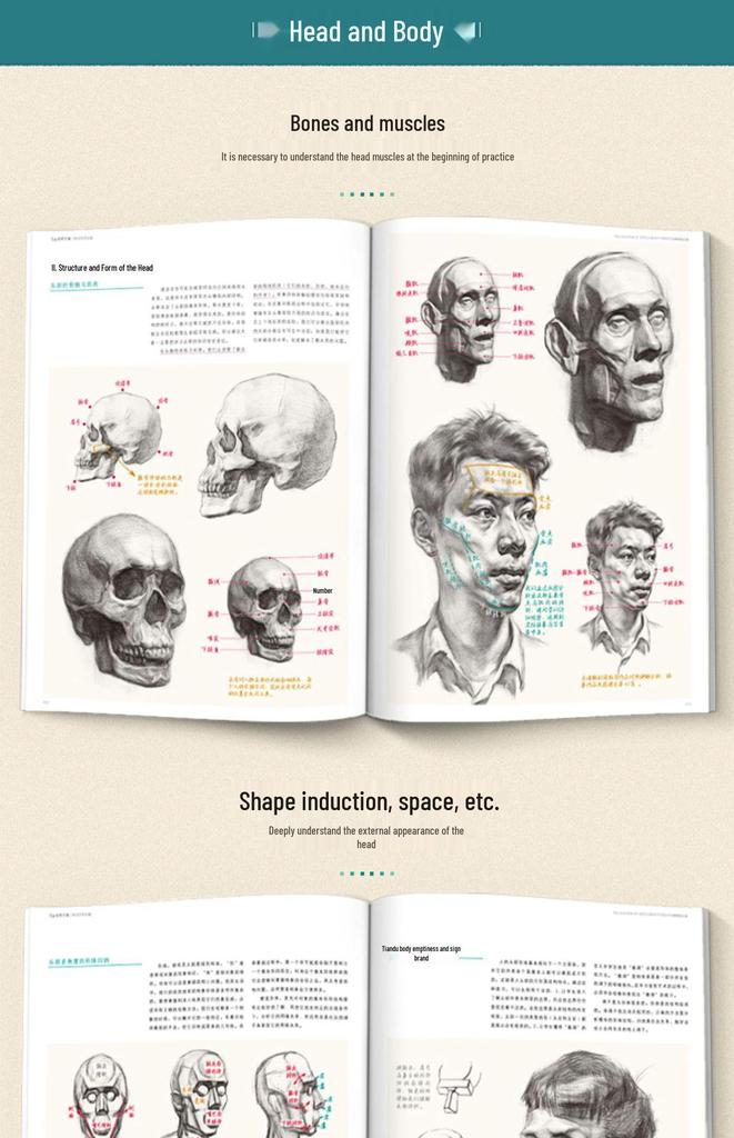 Comprehensive Sketch Portrait Guide: Structure, Depth & Analysis Tutorial