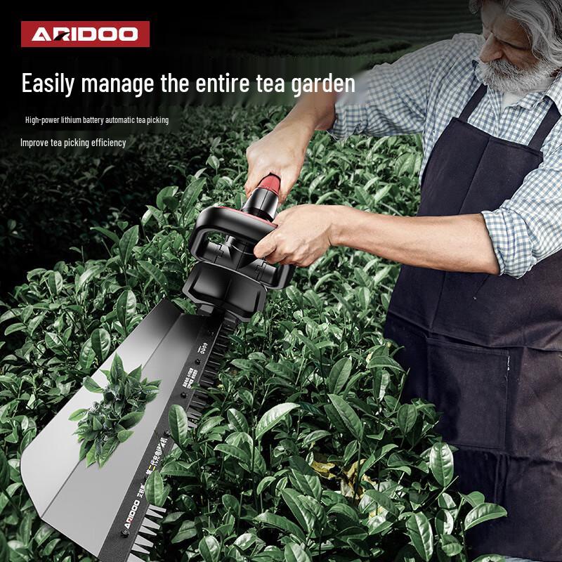 Araidun Cordless Electric Hedge Trimmer & Pruner CN plug (adapter included)