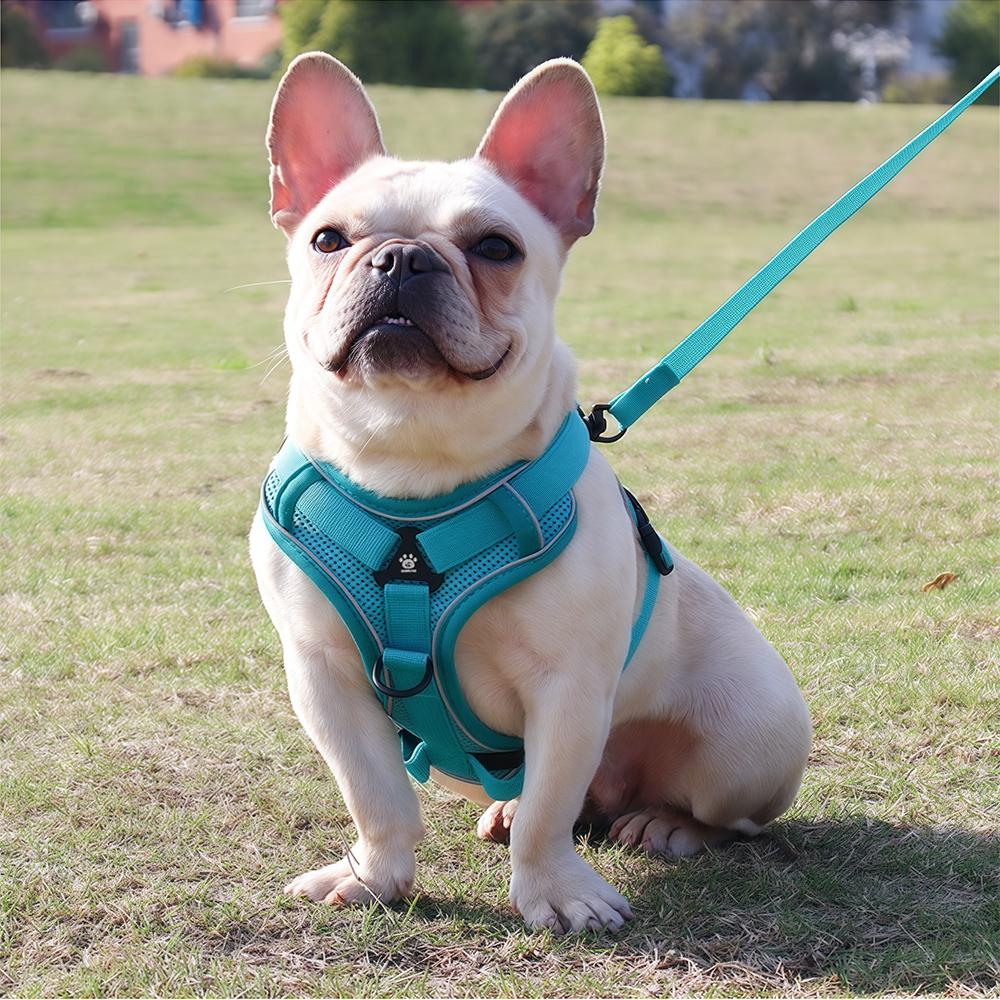 Dog Vest Harness Leash Set Reflective Adjustable Puppy Chest Strap for Small Dogs Cat French Bulldog Vest Lead Rope Pet Supplies