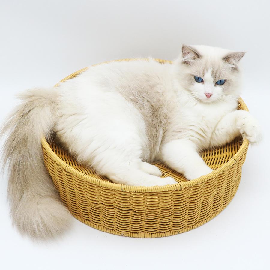 

Индивидуальная чаша для царапин из ротанга для кошек, круглая чаша для кошачьего гнезда, очень большая сменная внутренняя доска для шлифовки когтей для кошек, доска для домашних кошек
