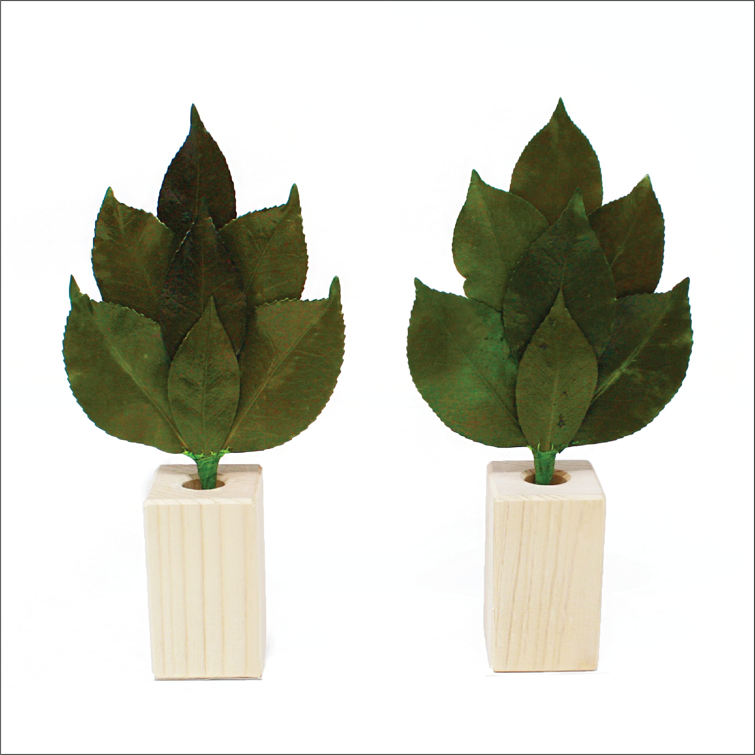 

A&K [Sakaki SS Sakaki Stand Set] Made with Japanese Cypress (Hinoki) - No artificial flowers used. Preserved Sakaki (Made with high-quality camellia