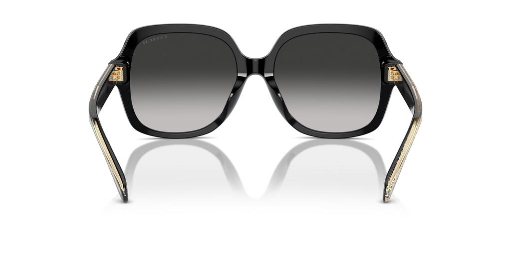 Sunglasses HC8395F CR962 BLACK 56 [Coach] Women's