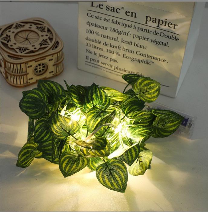 

Solar-Powered Eucalyptus & Maple Leaf LED String Lights 2m 20 Lights 2 AA Constant