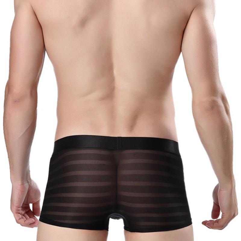 1Pc Men Panties Nylon Solid Color Sheer Mesh Pouch Lingerie Boxer Sexy Underwear Briefs