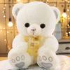 Lindo muñeco de peluche de oso de peluche, juguete de peluche para niña, muñeco de oso para abrazar con corazón, muñeco de trapo, regalo de cumpleaños para niños