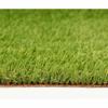 Exelgreen Campus 2D Artificial Grass 1 X 5 M 25 Mm