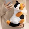 Poupée Peluche Chat de Dessin Animé 26cm Chat Vache Coloré Gris Orange Chat Siamois Chat Tigré Jouet en Peluche Animal Décoration de Maison Cadeau Pour Enfants