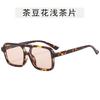 European American Style Sun Glasses for Women Square Shape Double Bridge Sunglasses Women Travelling Hiking Man Sunglass