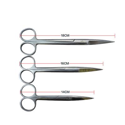 14/16/18cm Pet Veterinary  Stainless Steel Hv3n Surgical Scissors Surgery Anatomy Surgical Scissors Surgical Tool Kit
