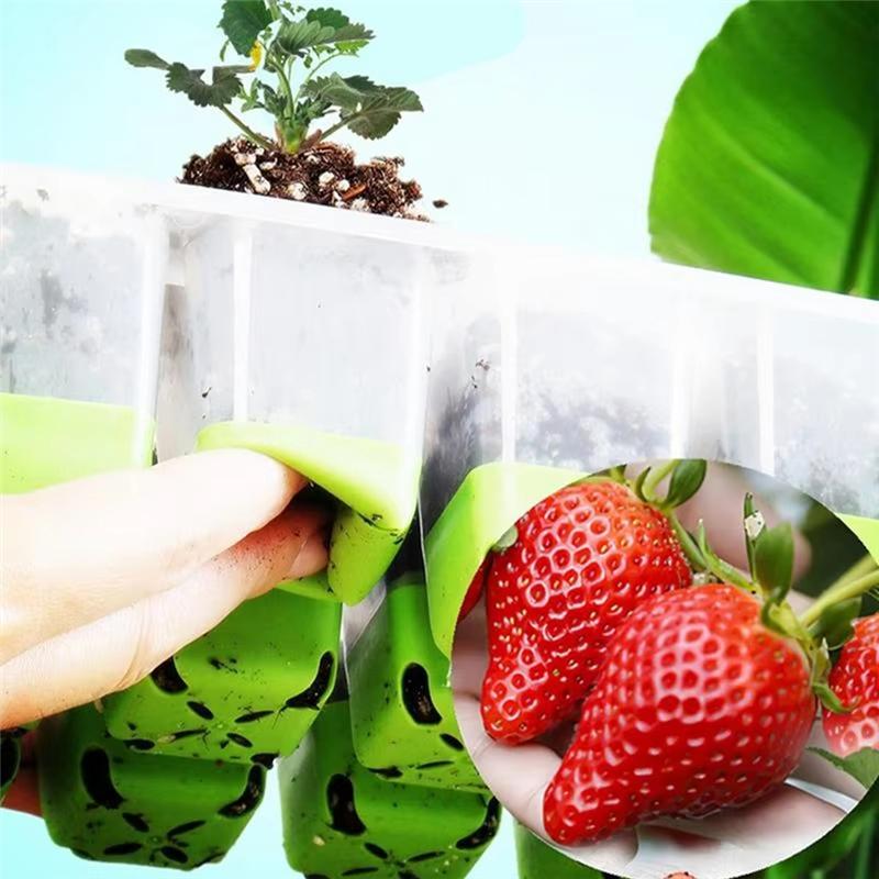 M-Modern-Seedling Startertrays Silicone Houseplant Growing Trays Set Of 5 Reusable Houseplant Sprouting Containers For Flower