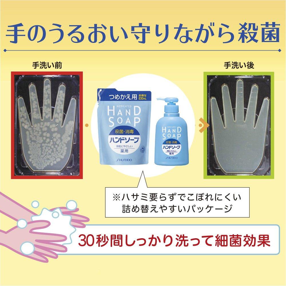 FT Shiseido Medicated Hand Soap 250ml