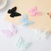 10Pcs Embroidery Lace Butterfly Sew Iron On Patch Badge Wedding Bridal Dress Embroidered Applique Craft Diy Sewing Supplies