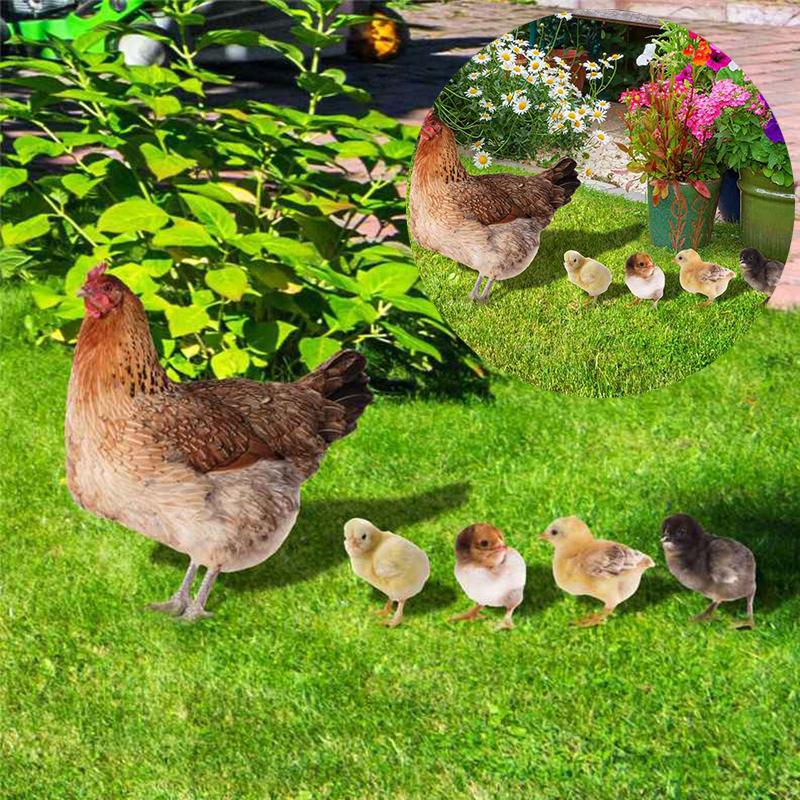 Hen and Chick Decoration Rooster Garden Chicken Lawn Insert Signs Printing Sculpture Ornaments Garden Stakes Double-sided