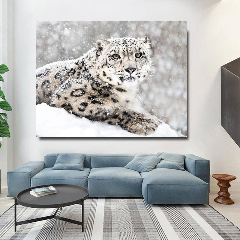 Snow Leopard Pictures Plakater og Pirnts Hvite Leoparder Dyrelerretsmaleri Wildlife Veggkunst til stuen Hjemmeinnredning