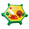 Educational Animal Plant Cell Anatomy Model Animal and Plant Cell Model Biology Teaching Aid