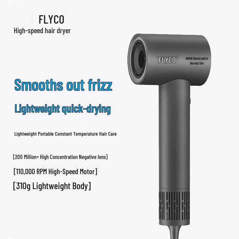 FLYCO FH6370 High-Speed Negative Ion Hair Dryer CN plug (adapter included)