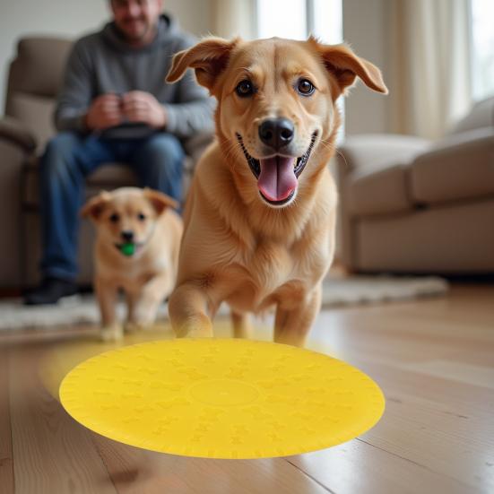 Flying Disc Toy for Dogs Easy to Hold And Throw Ergonomic Bite Resistant Soft TPR Flying Disc for Water And Land Use Colorful Outdoor Dog Training Toy