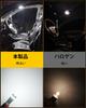 Goshimi T10 LED for 12 V - 24 V Cars, White, Explosive Light, Built-in