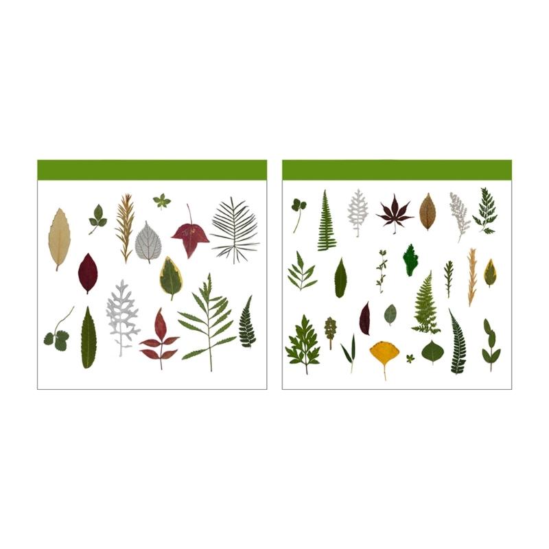 4Packs Dried Plant Specimens Craft Supplies 120 Real Pressed Leaves For DIY Jewelry Home Decors Natural Plant Materials Set