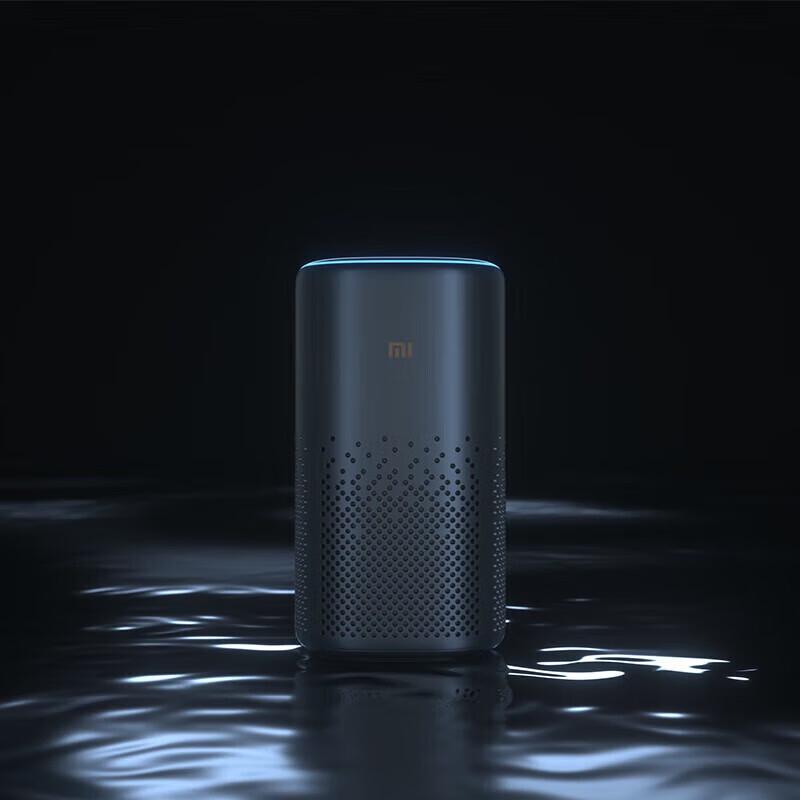 Xiaomi AI Speaker Pro CN plug (adapter included)
