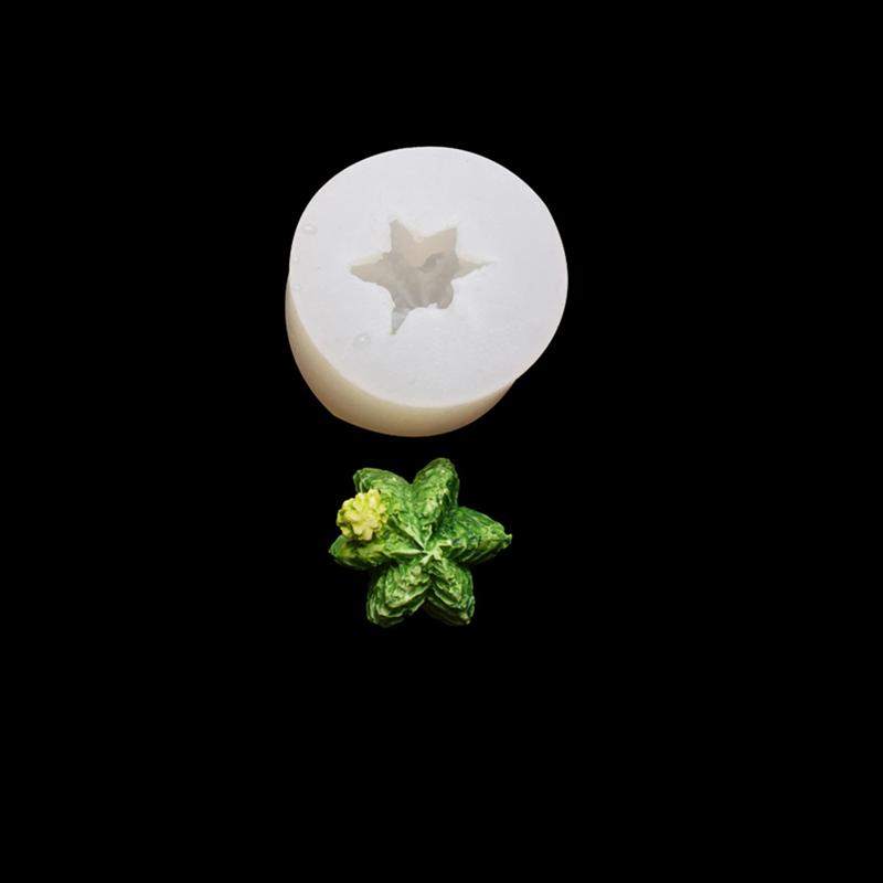 

Aomily Cactus Prickly Pear Succulents Silicone Molds Cake Chocolate Mold Cake Decorating Tools Fondant Sugarcraft Soap Mould